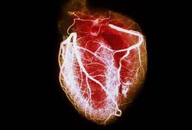 New Test Reduces Heart Attack Misdiagnosis in Women